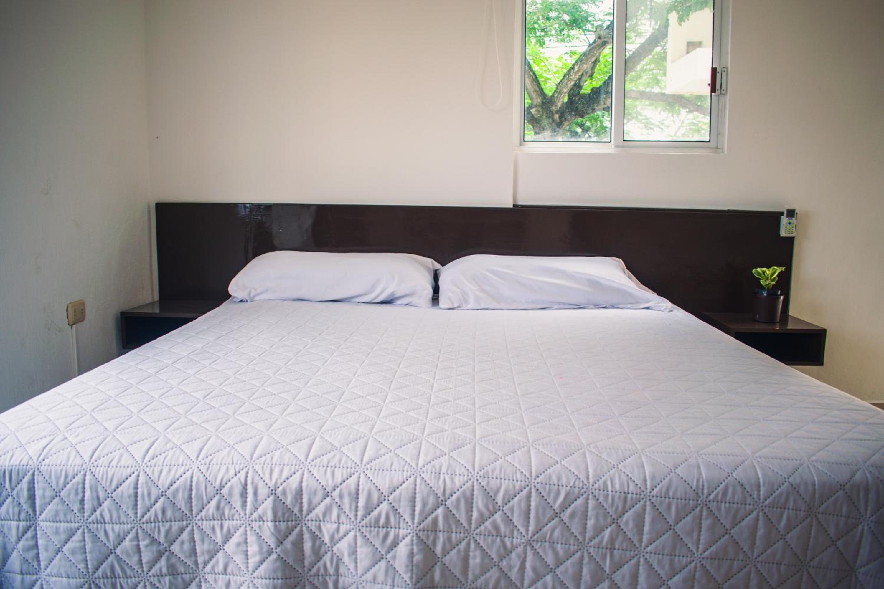hotel cupules
