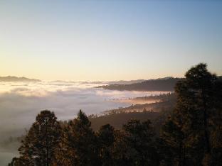 Vita Kasar Rainbow Yoga Retreat Binsar,Binsar Road, Kasar Devi, Mat,2 star