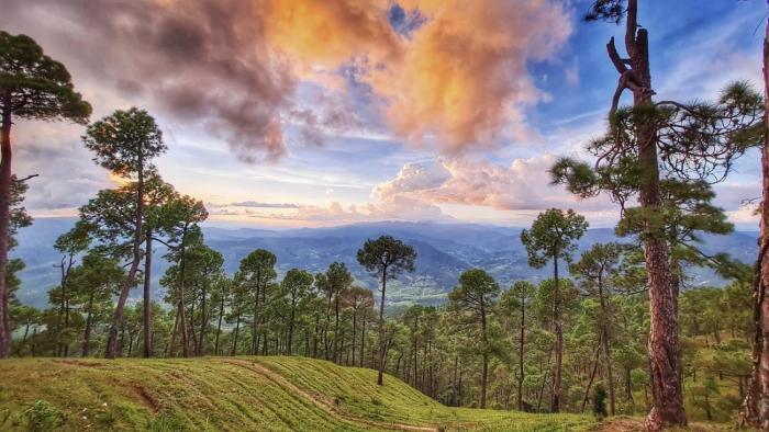 vita kasar rainbow yoga retreat binsar