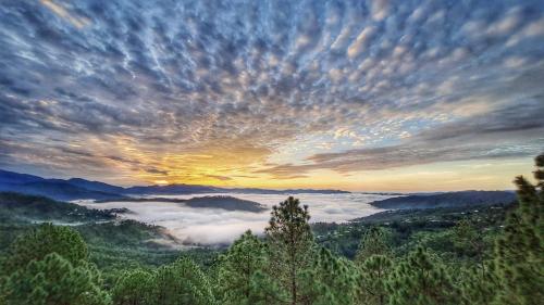 vita kasar rainbow yoga retreat binsar