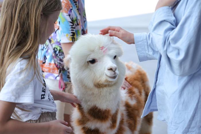 holiday inn and suites sanya yalong bay