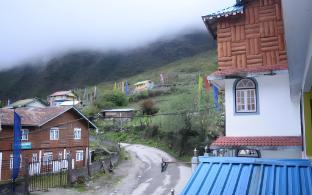 delight royal lachung