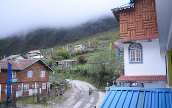 delight royal lachung