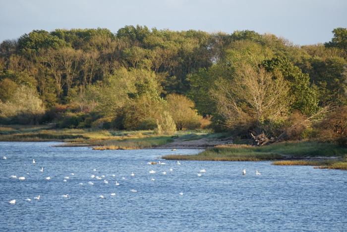 hohen wieschendorf