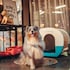 moxy bordeaux hotel