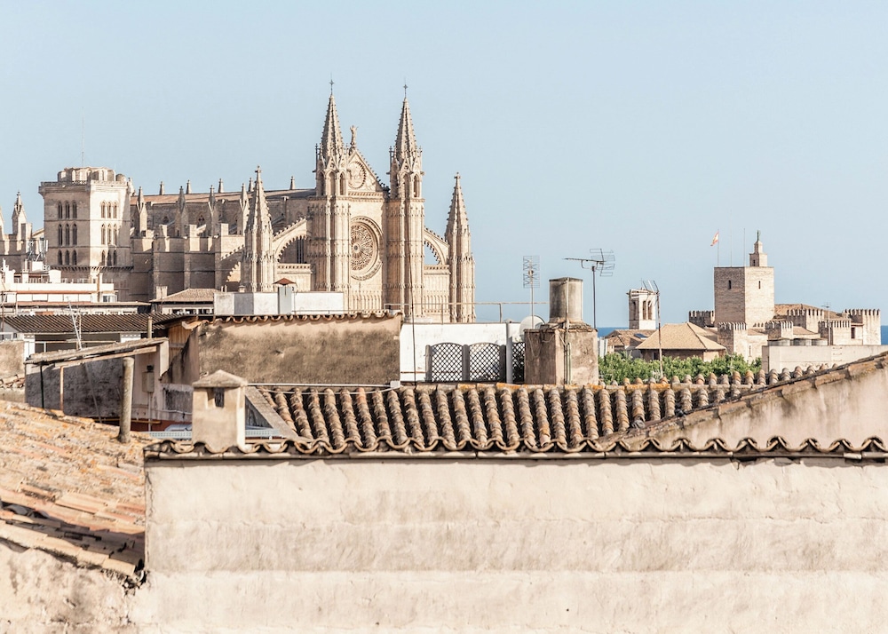 palma de mallorca