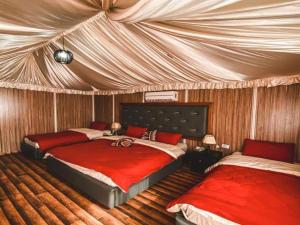 sharah luxury camp