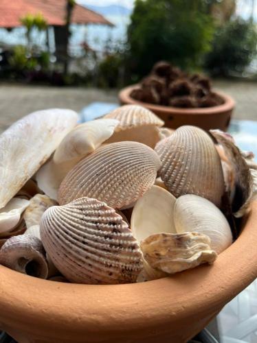 governador celso ramos