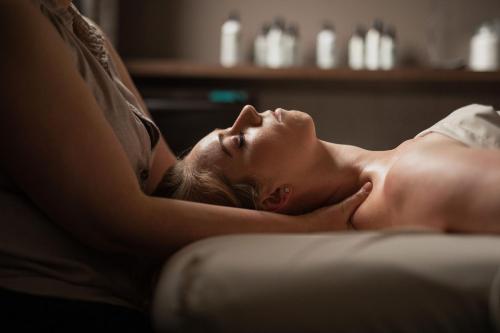 the lodge at st edward park