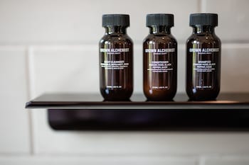 the lodge at st edward park