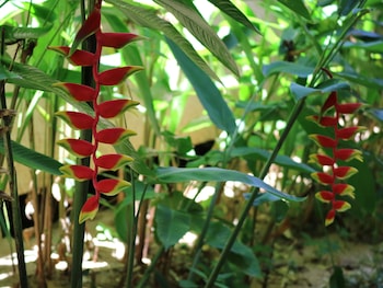 palita lodge