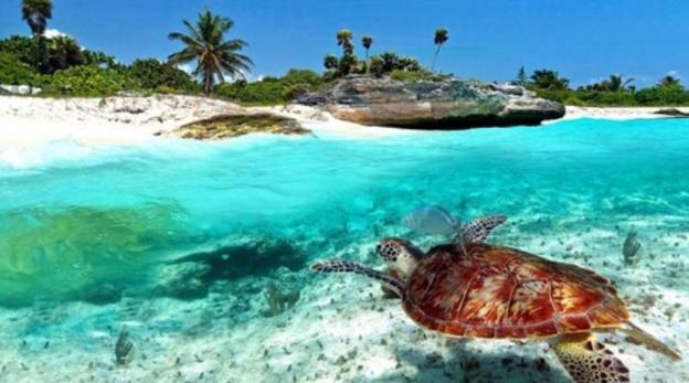 puerto aventuras