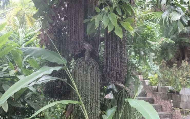 bahay isla sanctuario