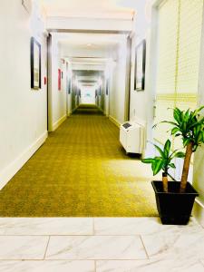 montgomery inn and suites