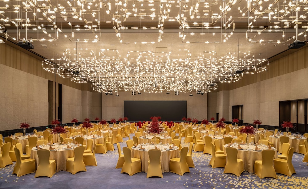 hilton shenzhen world exhibition and convention center
