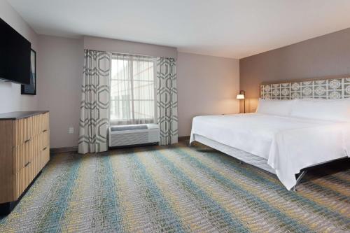homewood suites by hilton st augustine san sebastian