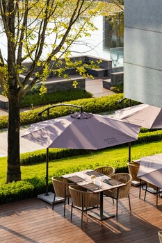 melia chongqing