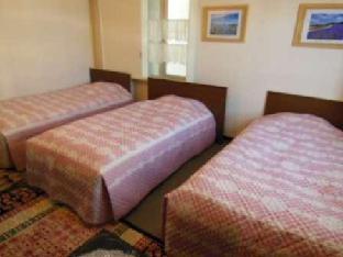 mizusawa green hotel