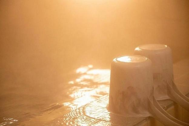 kongoji syukubo seihoin