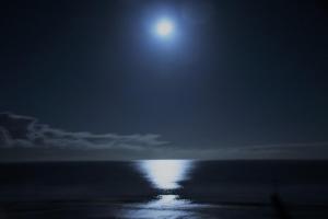 belvedere hotel and golf