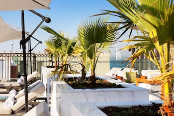 adagio premium the palm