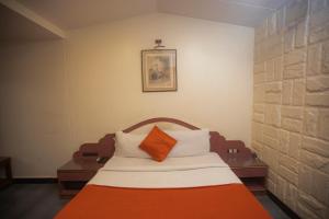 hotel platinum colaba