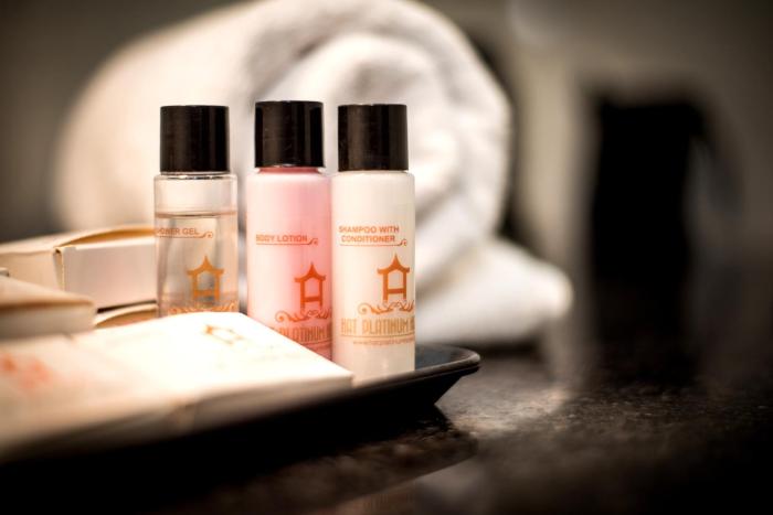 hotel platinum shravasti