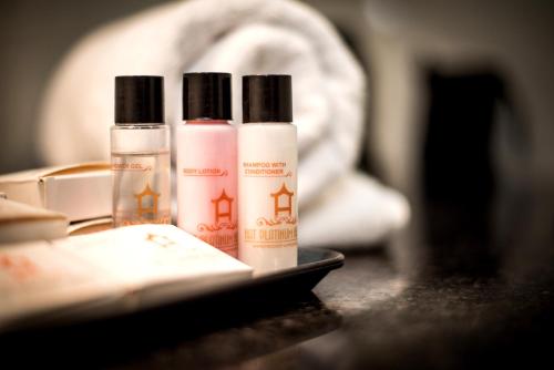 hotel platinum shravasti