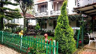 ooty