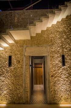 diez diez collection