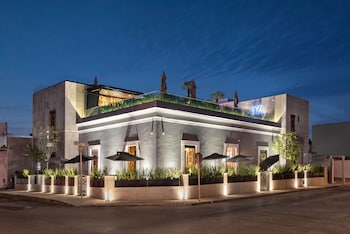 diez diez collection