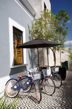 diez diez collection