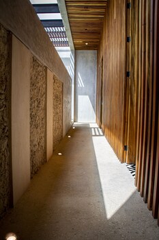 diez diez collection