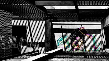 diez diez collection