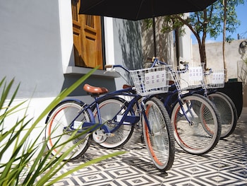 diez diez collection