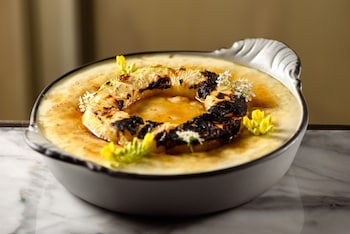 diez diez collection