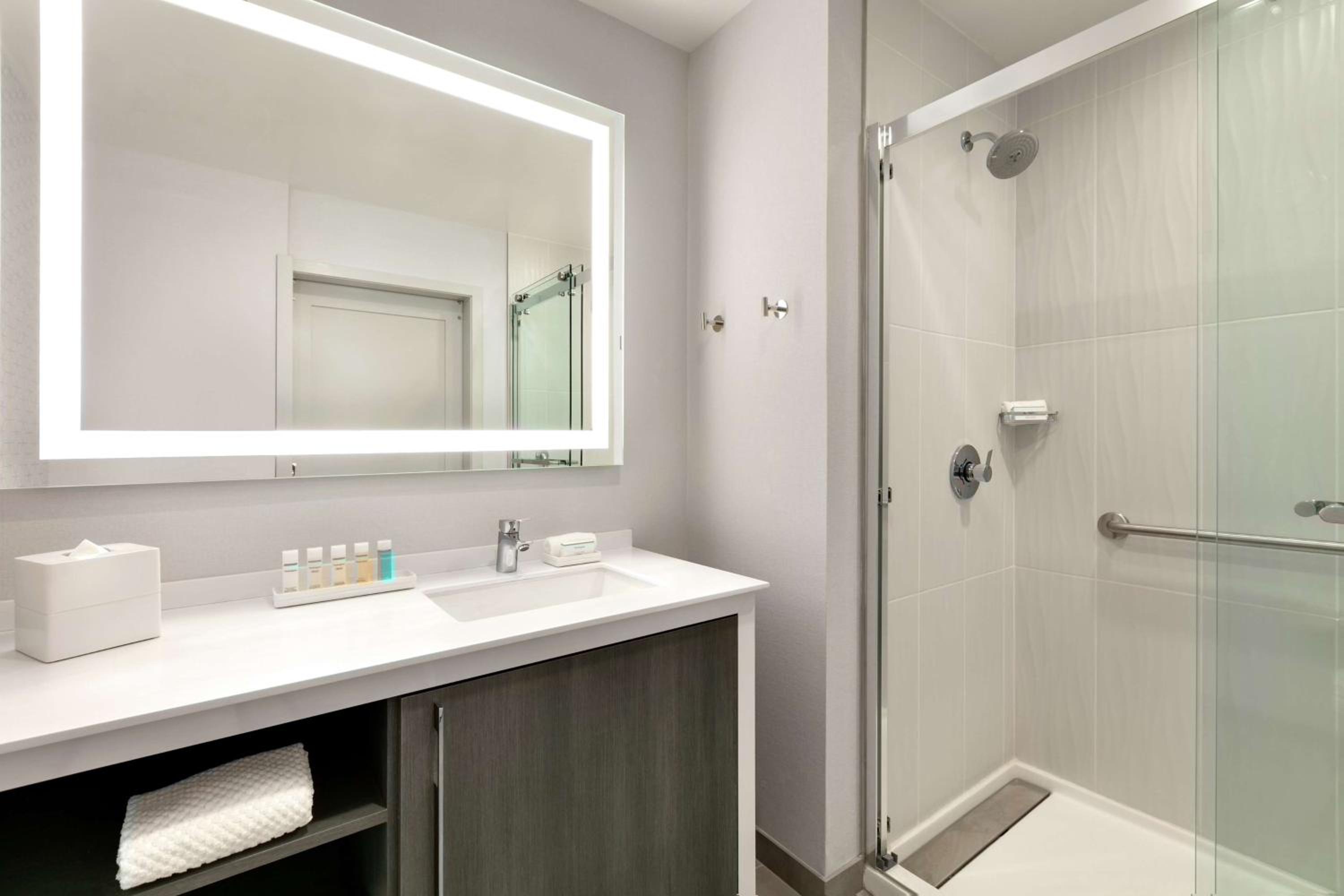 embassy suites by hilton atlanta midtown