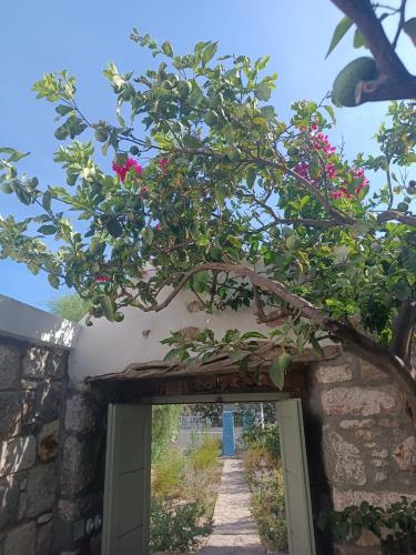 patmos