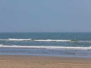 wave house 99