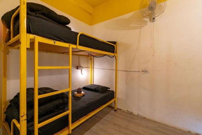 kasol