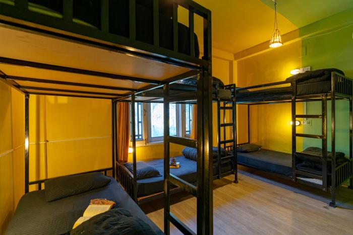 jungle hostel by whoopers