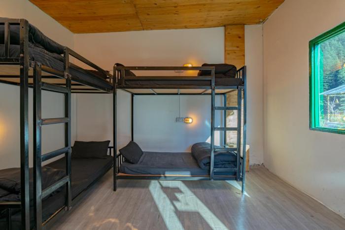 jungle hostel by whoopers