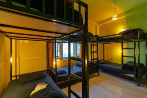 jungle hostel by whoopers