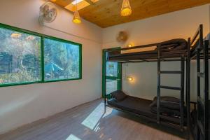 jungle hostel by whoopers