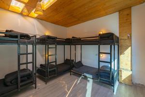 jungle hostel by whoopers