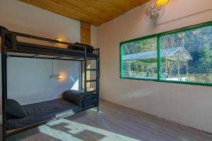 jungle hostel by whoopers