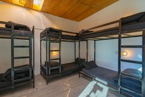 jungle hostel by whoopers