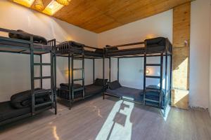 jungle hostel by whoopers