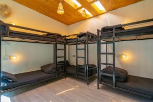 jungle hostel by whoopers