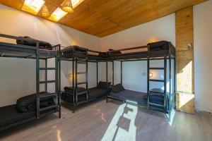 jungle hostel by whoopers